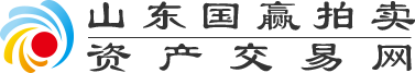 山东国赢拍卖资产交易网 山东国赢拍卖资产交易网 - logo